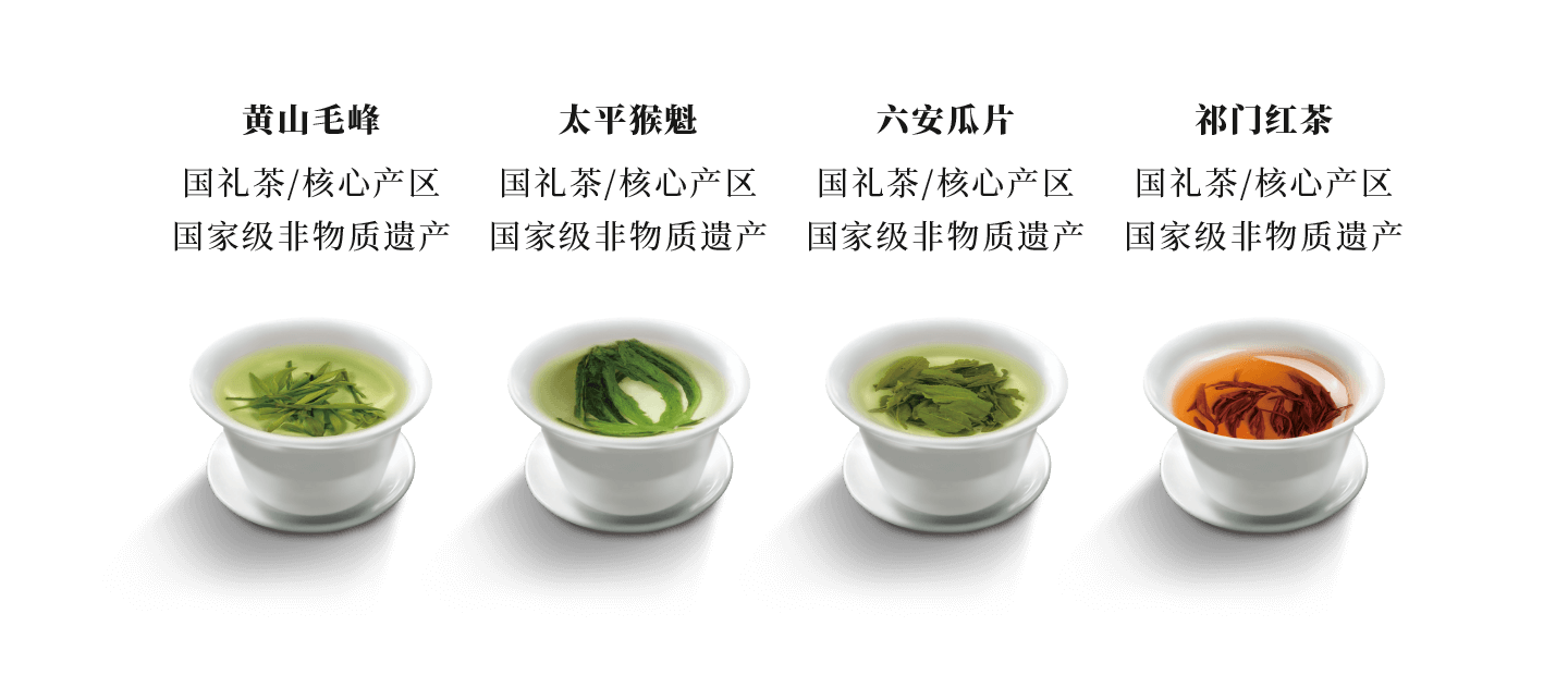 茶产品展示三